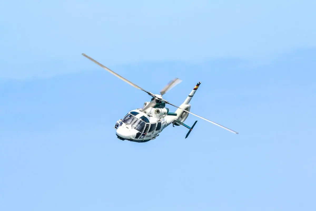Airbus AS365 Dauphin photo 2