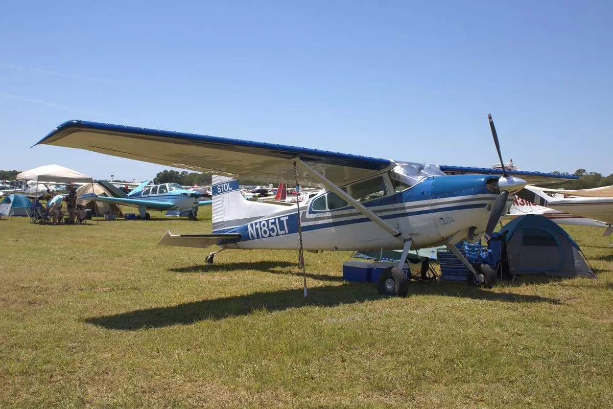 Cessna 185 Skywagon photo 3
