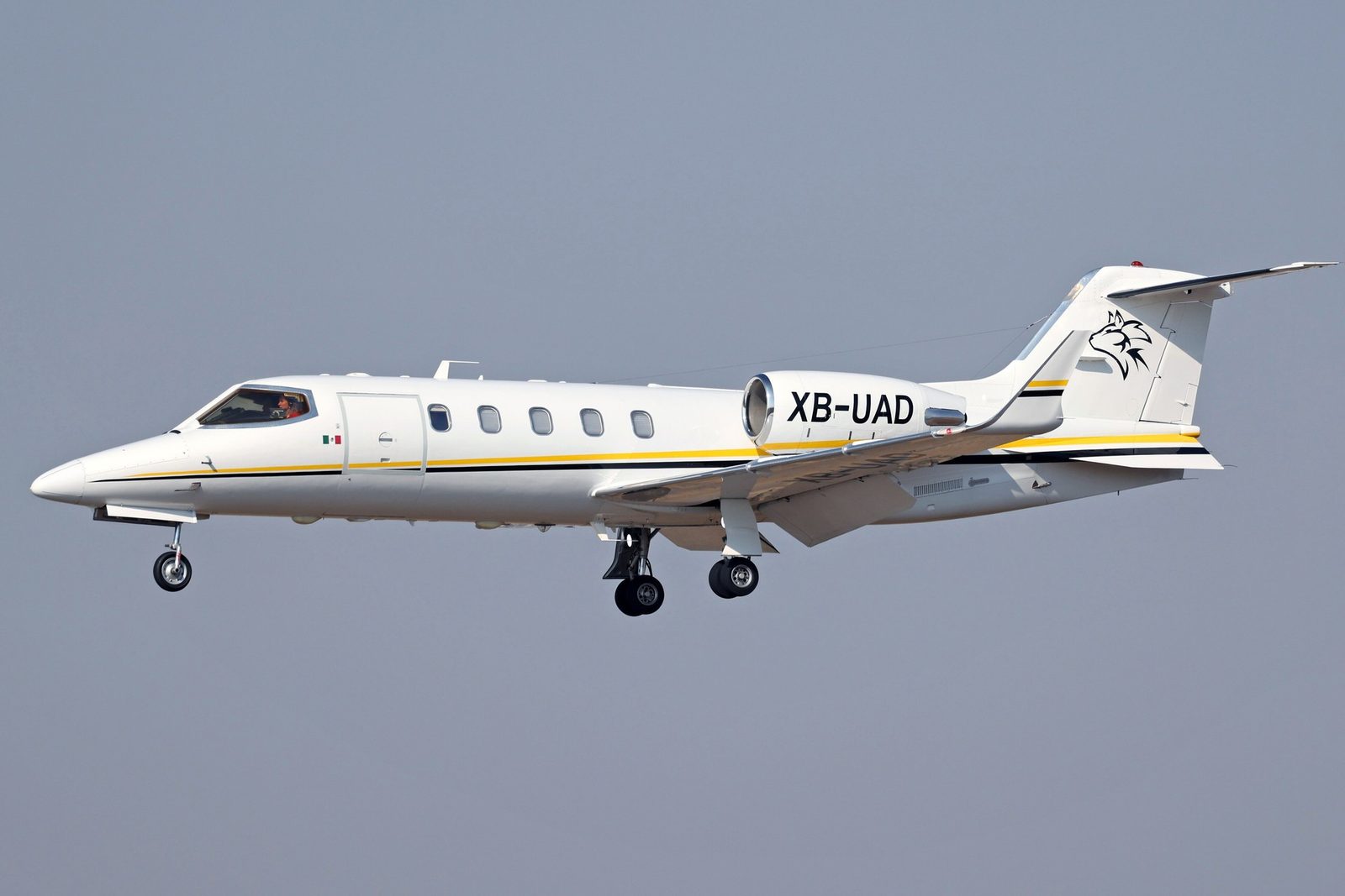 Learjet 31 flown by PHI Health,LLC