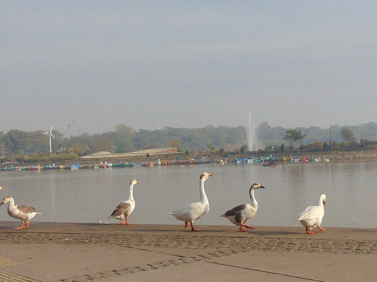 Chandigarh