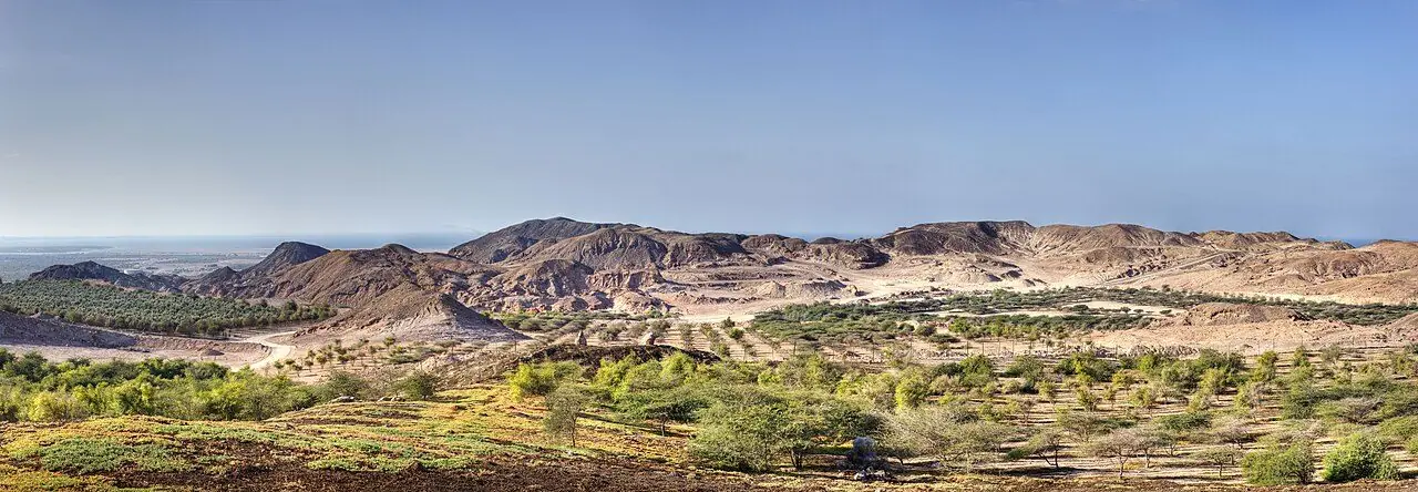 جزيرة صير بني ياس